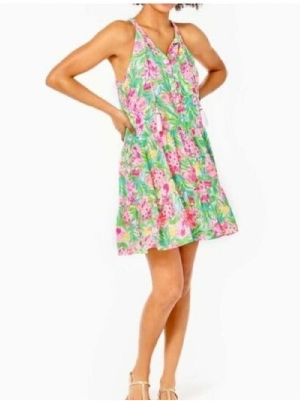 Lilly Pulitzer Carolane Floral Sleeveless Swing Dress Pear Necessities Sz Small